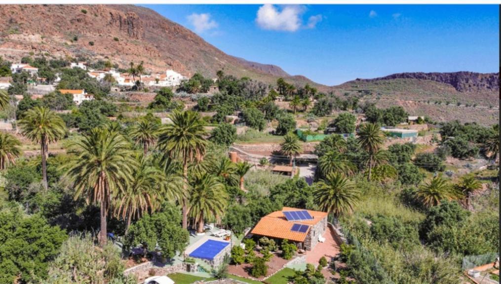 Las Palmeras Temisas Bagian luar foto