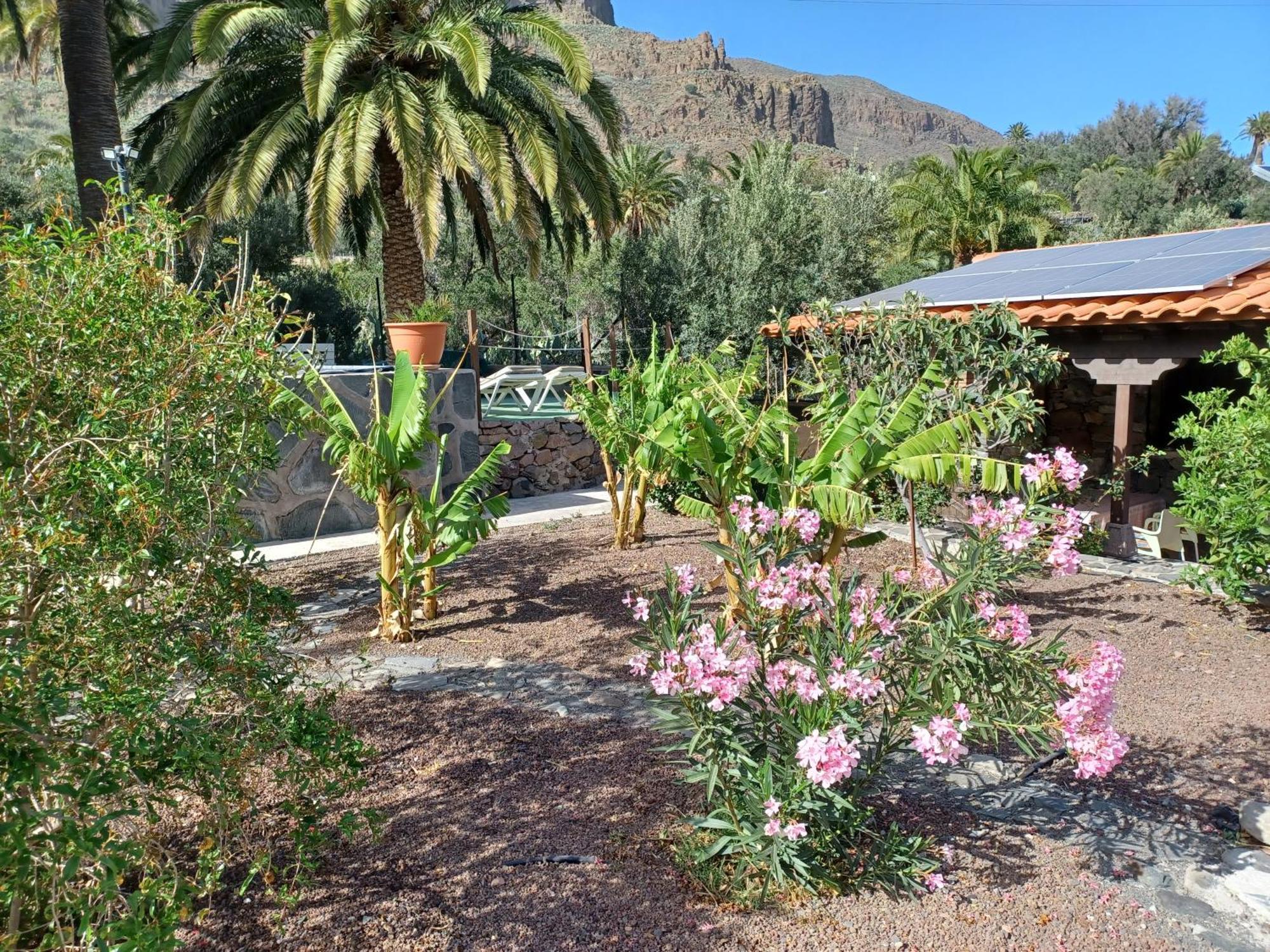 Las Palmeras Temisas Bagian luar foto